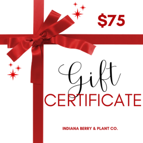 Gift Certificate - $75.00