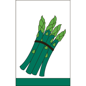Asparagus Ex Flag 28" x 44"