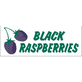 Black Raspberries 3' x 8' Economy Banner