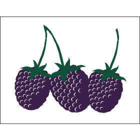 Blackberries 26" x 20" Poly Marketeer