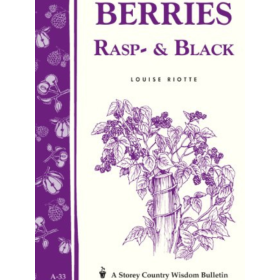 Berries (Rasp & Black) 