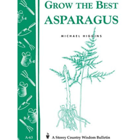 Grow the Best Asparagus 