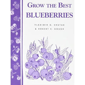 Grow the Best Blueberries