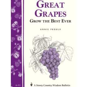 Great Grapes Grow the Best Grapes