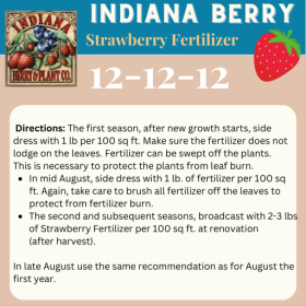Strawberry Fertilizer - 4 lb bag (12-12-12)