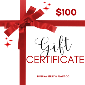 Gift Certificate - $100