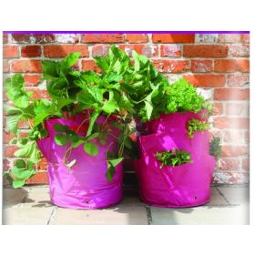 Patio Planter PKG OF 2 (8 Pockets & 25 Seascape Strawberry Plants)