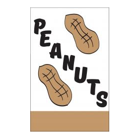 Peanuts Ex Flag 28" x 44"