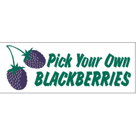 Pick Your Own Blackberries 3" x 8" Economy Banner