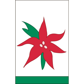 Poinsettia Ex Flag 28" x 44"