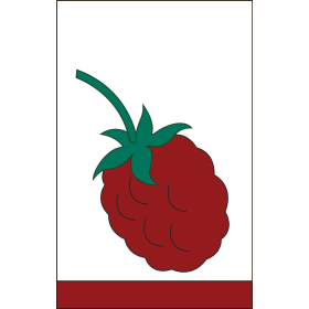 Raspberry Ex Flag 28" x 44"